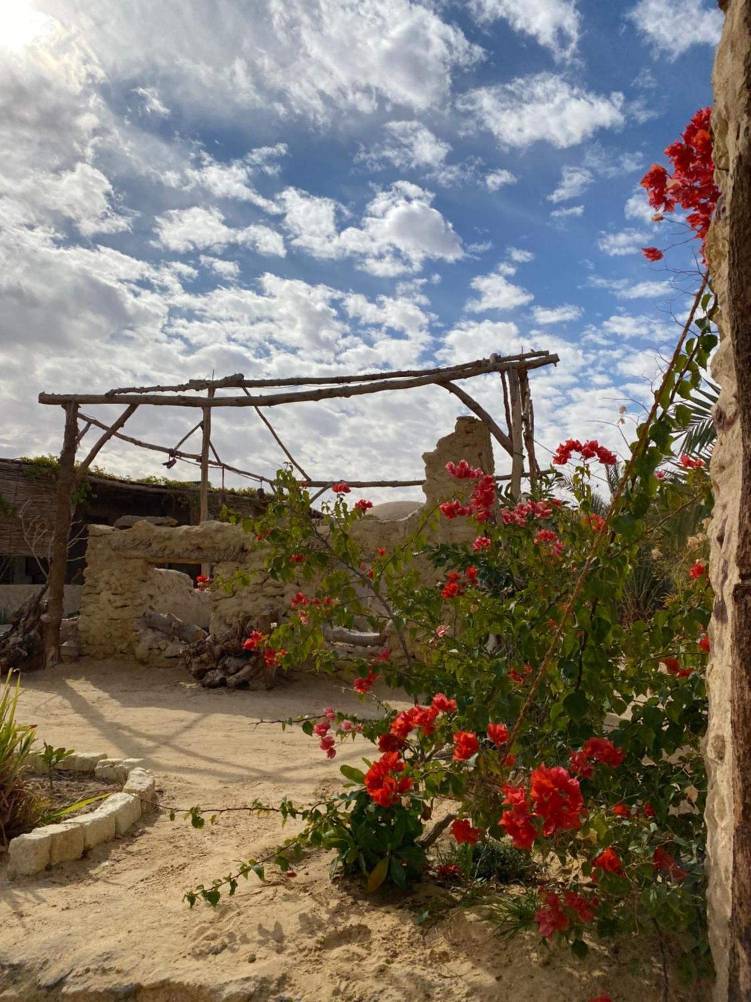 Grand Siwa Villa Siwa Oasis Exterior foto